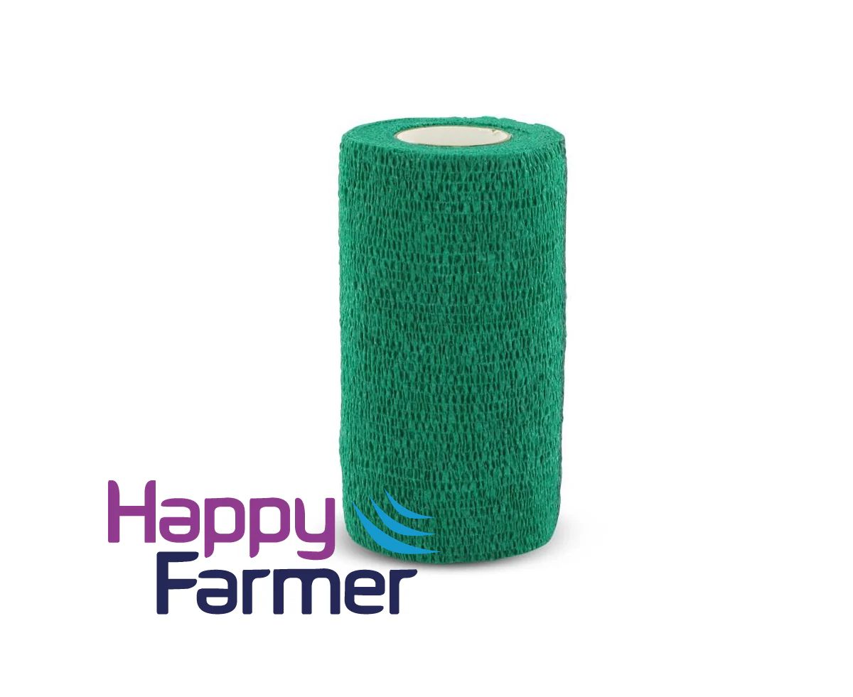 Bandage self-adhesive Co-flex - Image 2