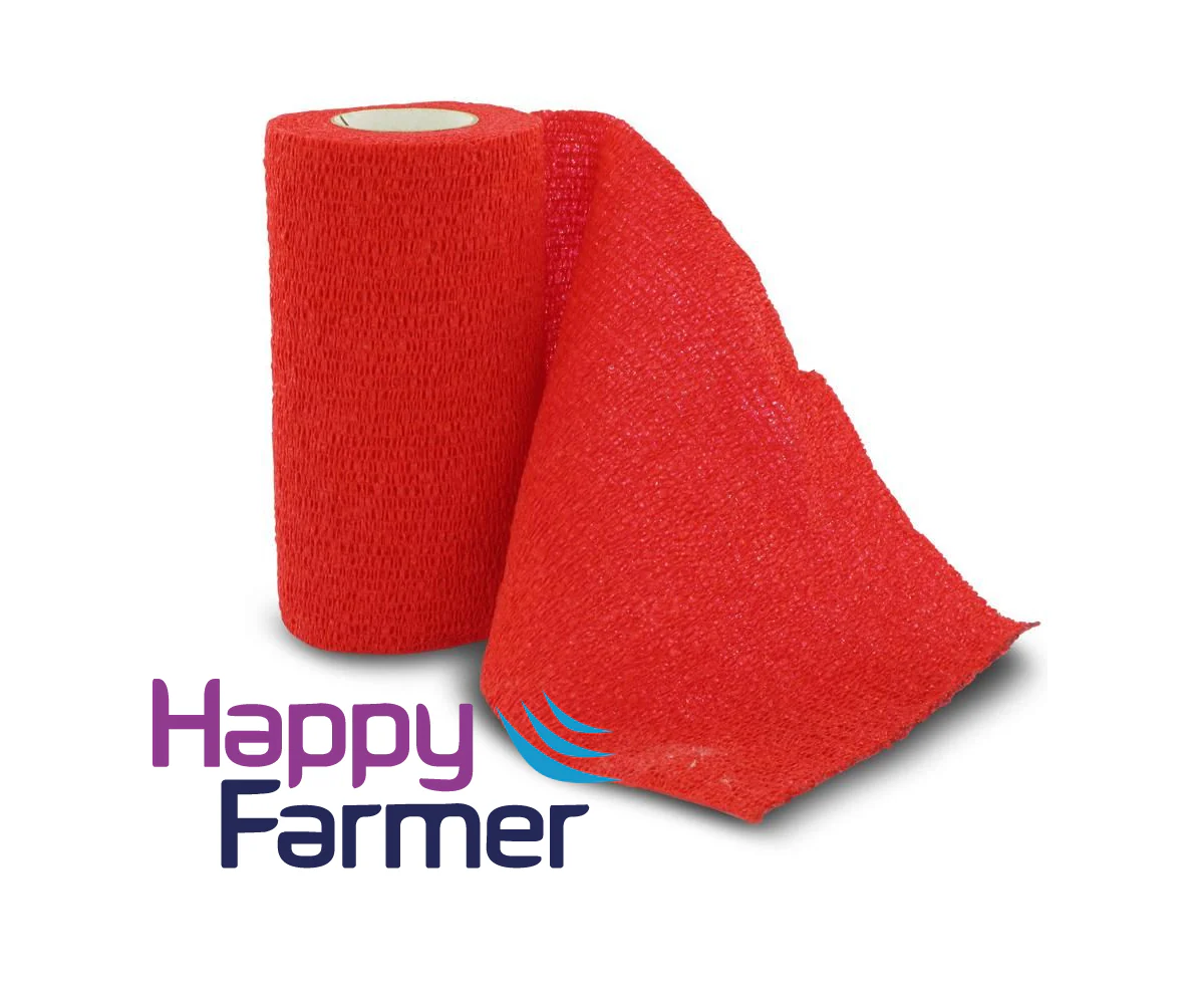 Bandage self-adhesive Co-flex - Image 6
