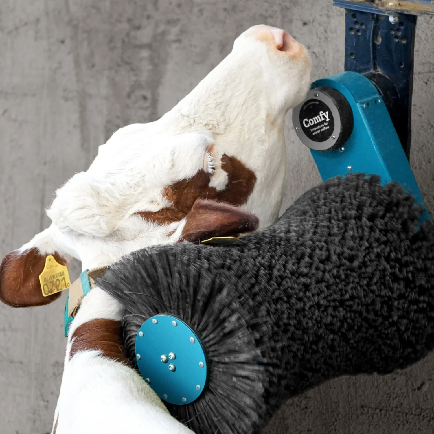 Cosy Cow cow brush - Image 2