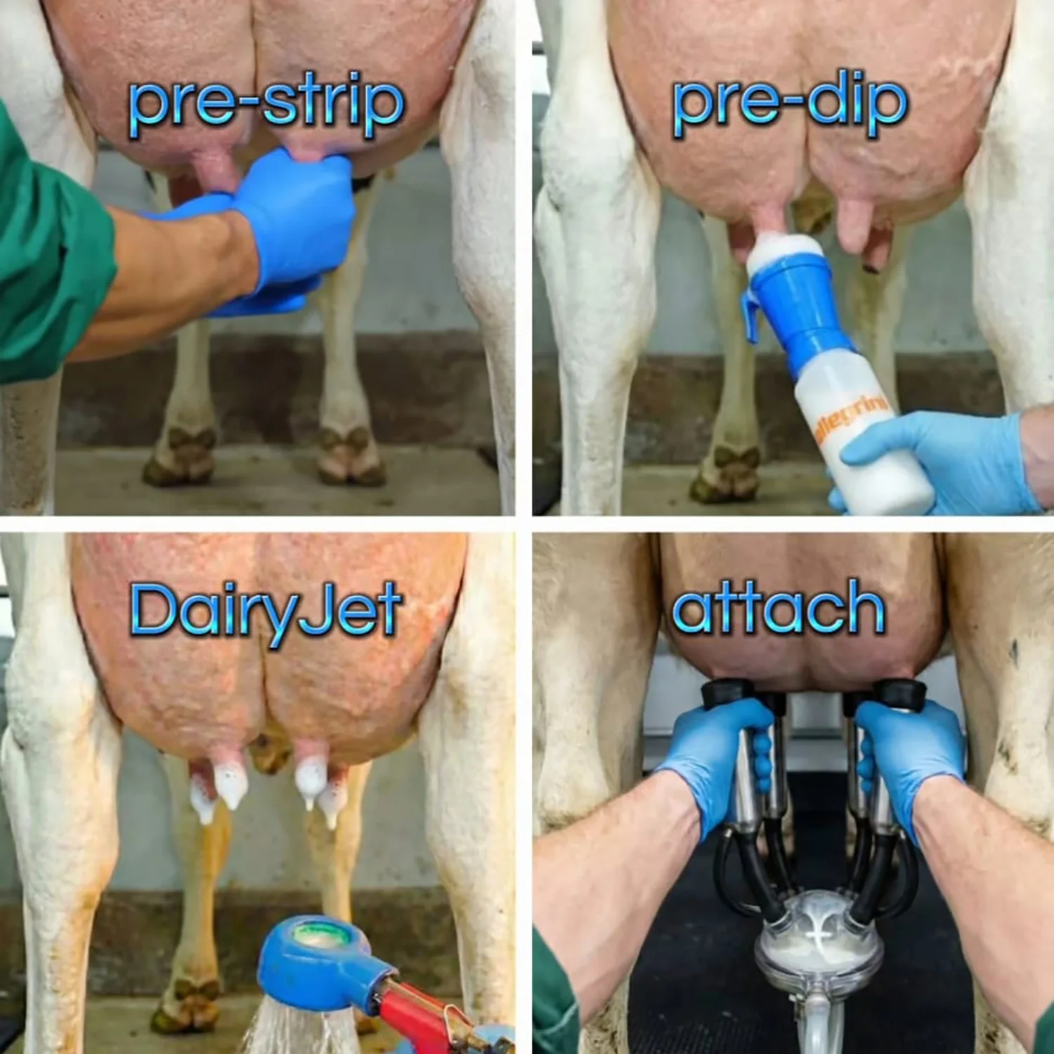 DairyJet - Udder Shower/Teat Cleaner Set 3 Pieces - Image 5