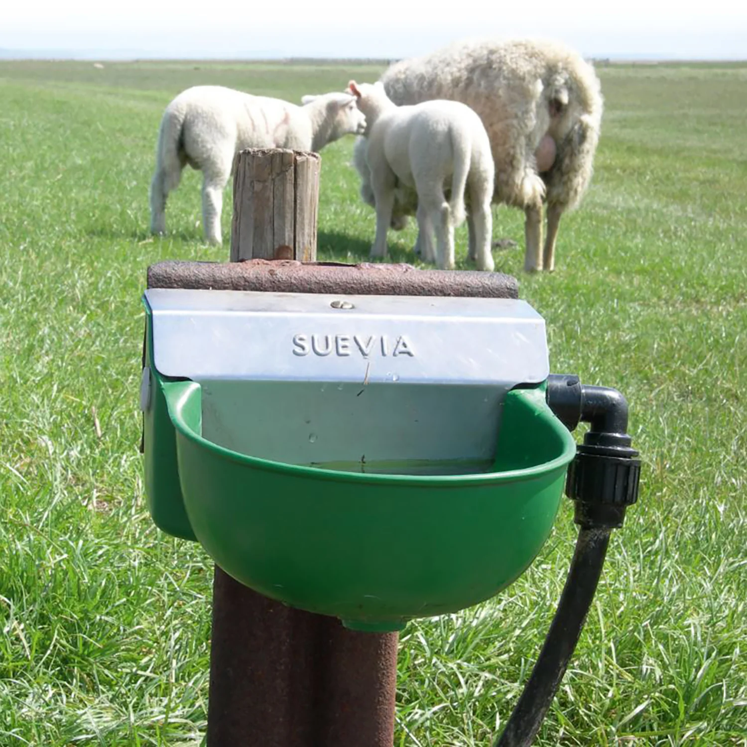 Drinking trough Model 130P with float - Image 5