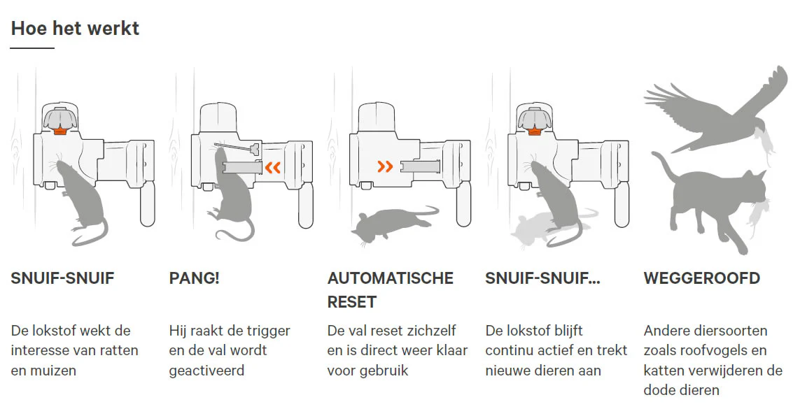 SafeTrap Automatic-25 Rat and Mouse Trap Starter Set - Image 2