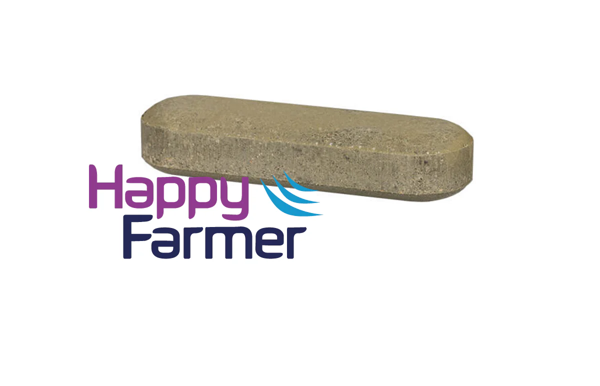 Topro Rumen bolus - Image 2