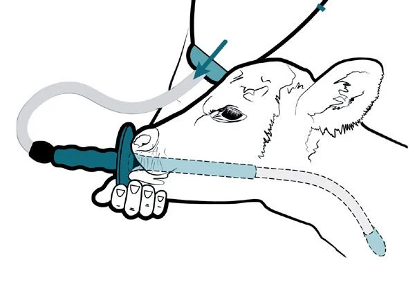 Trusti Tuber - Tubes with mouthpiece and cap - Image 3